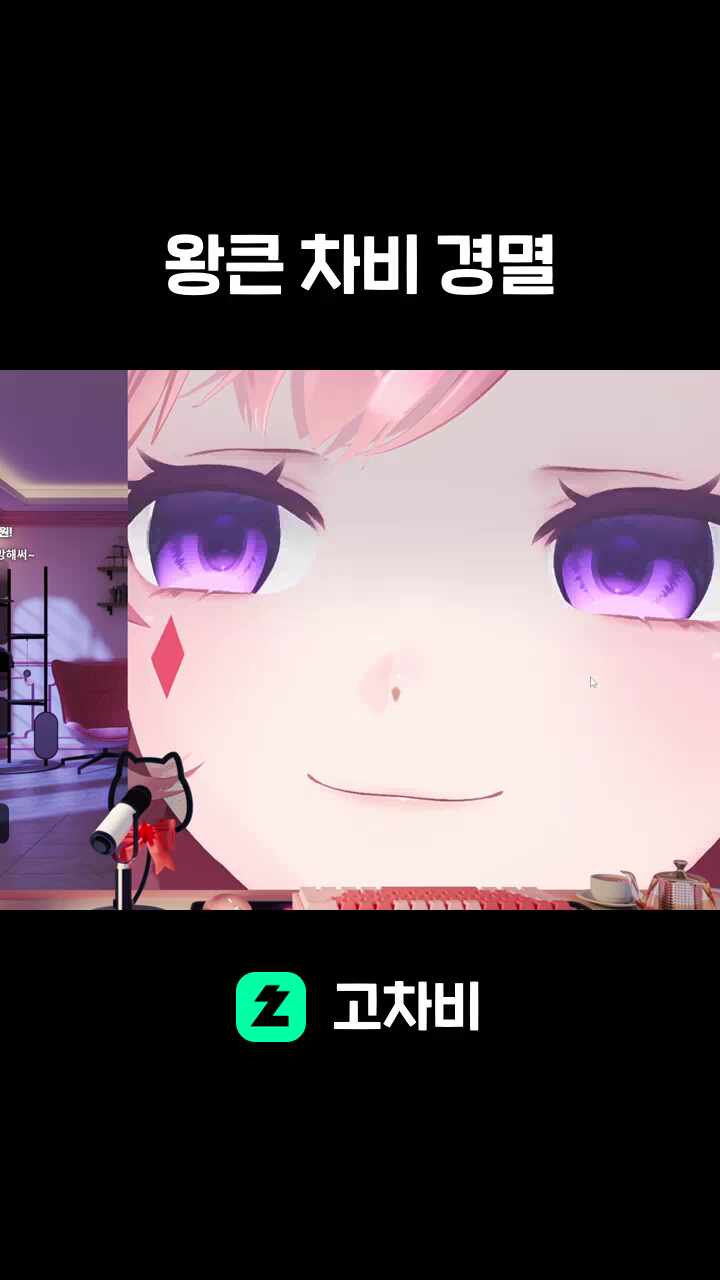 왕큰 차비 경멸