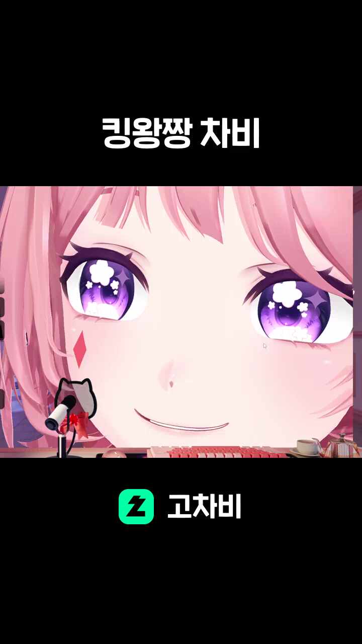 킹왕짱 차비