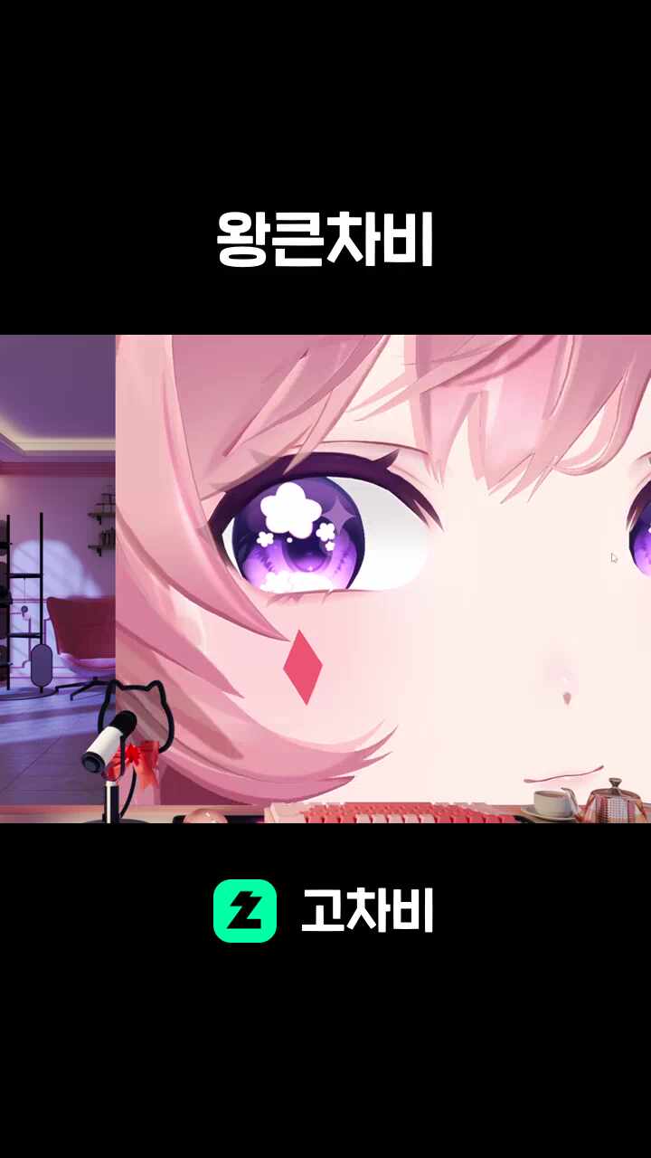 왕큰차비