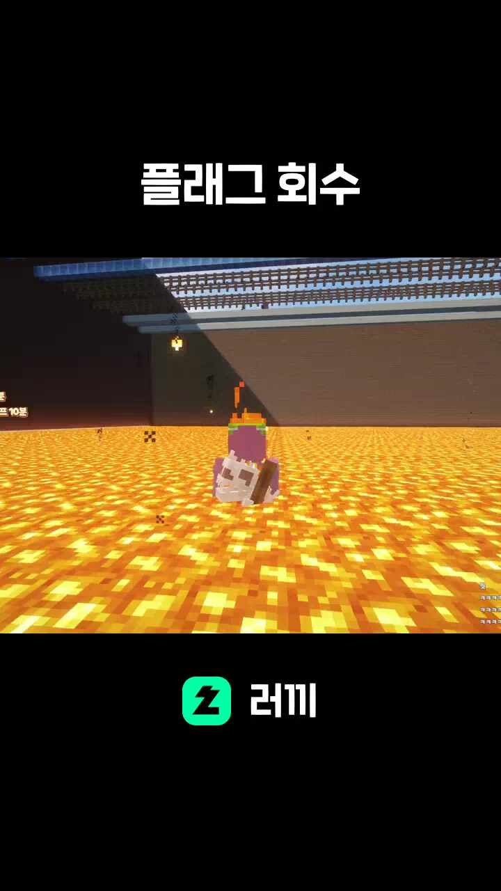 플래그 회수
