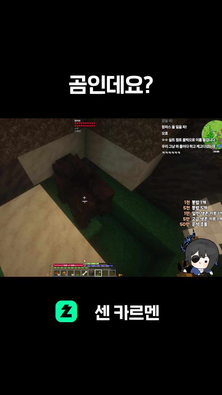 곰인데요?