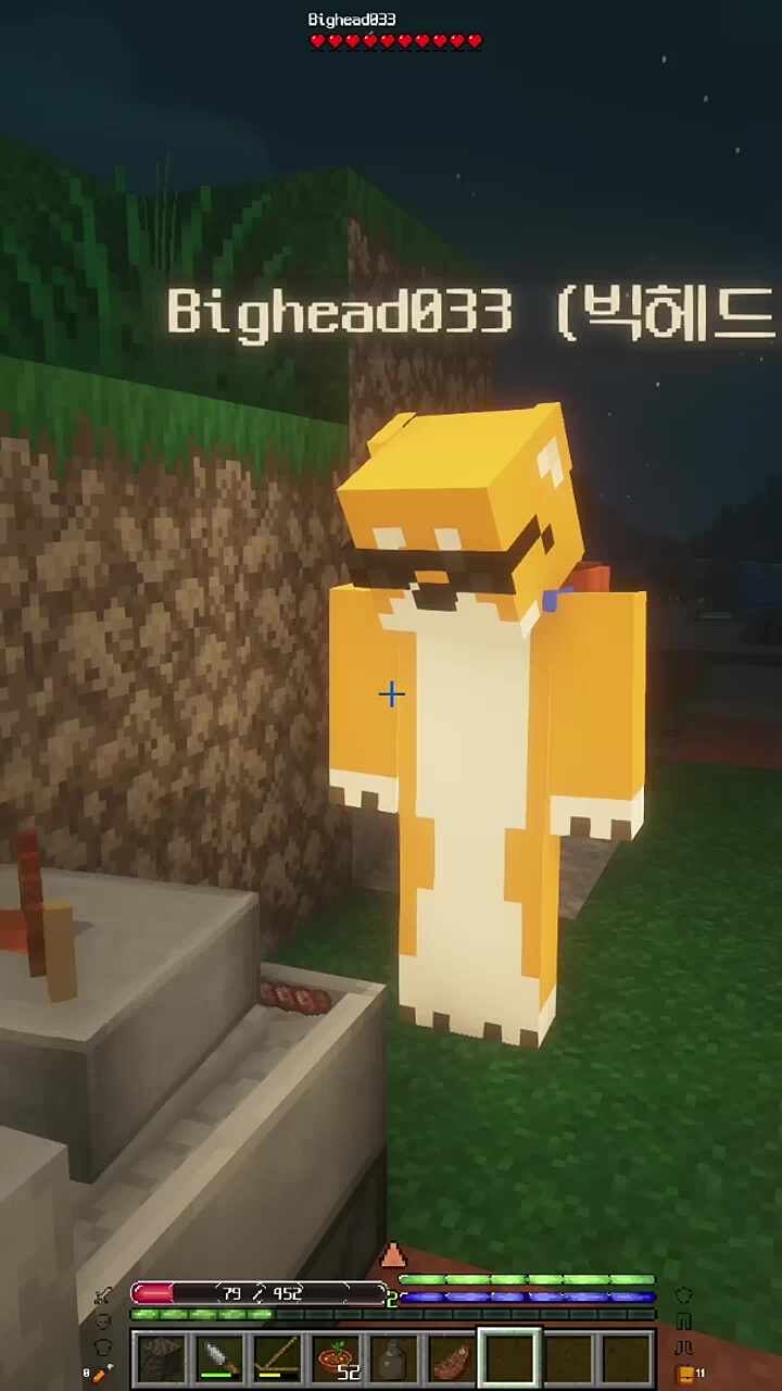 빅헤드)혹시 앵고님은 종족이 뭐에요?