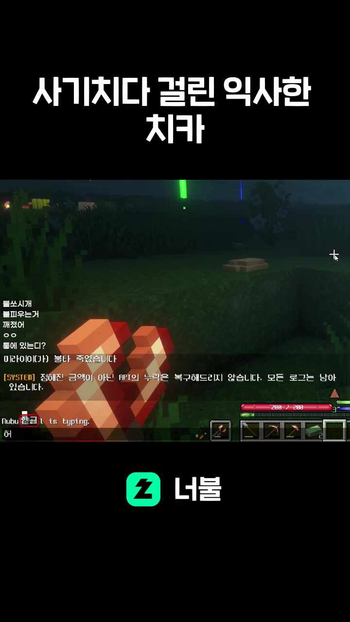 사기치다 걸려 익사한 치카