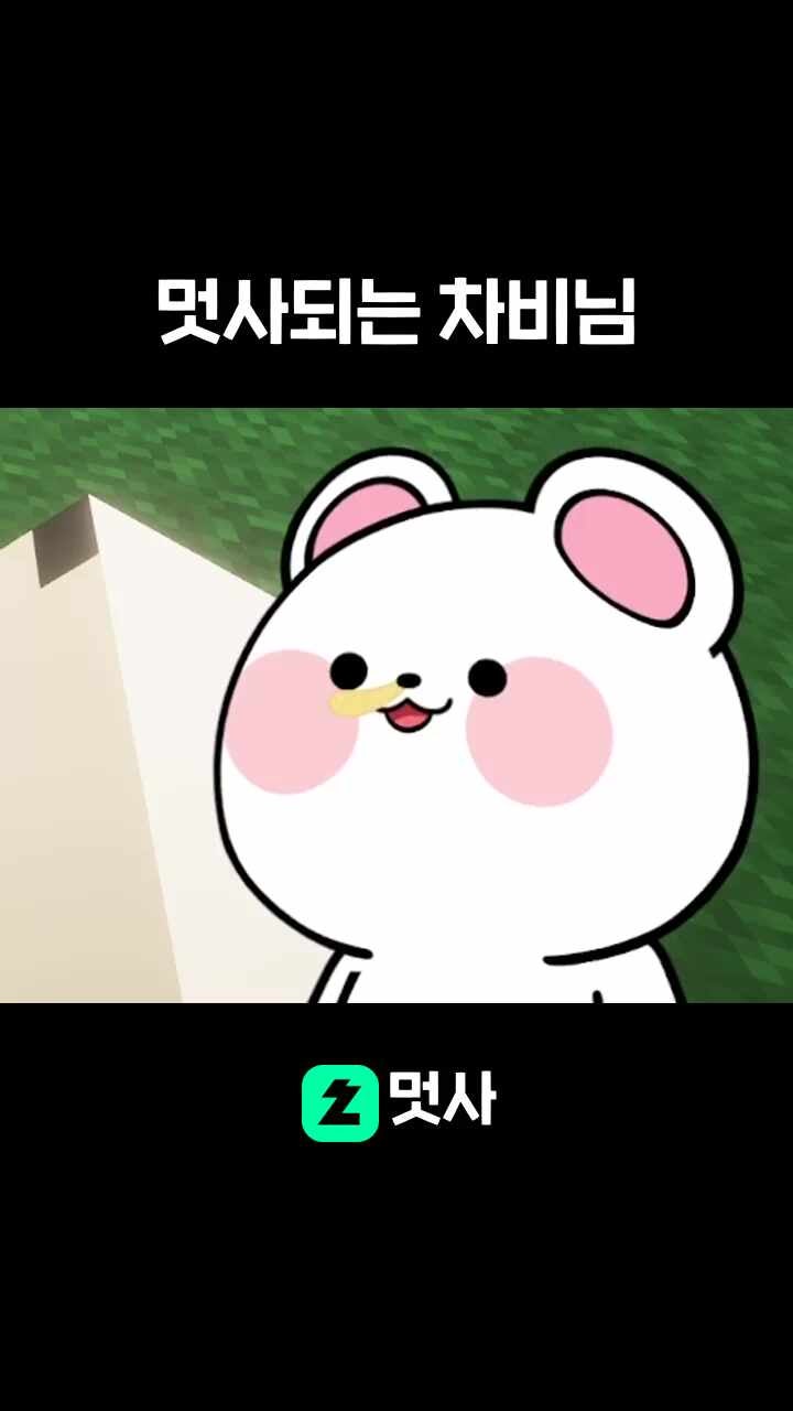 멋사되는 차비님