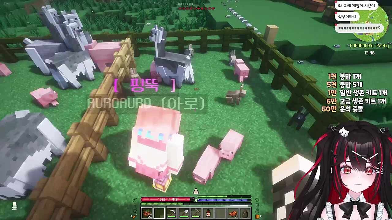 아로야 너 돼지랑 색깔이 똑같아