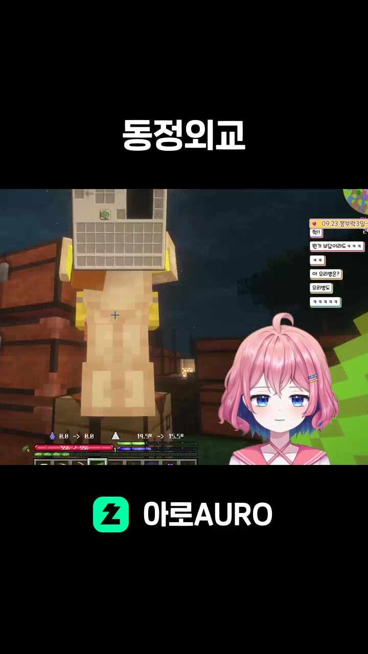 동정외교