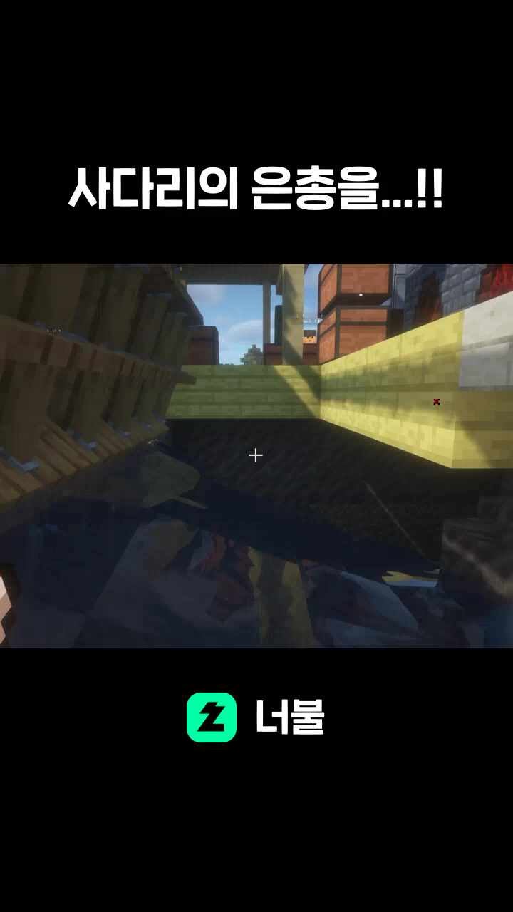 사다리의 은총을...!!