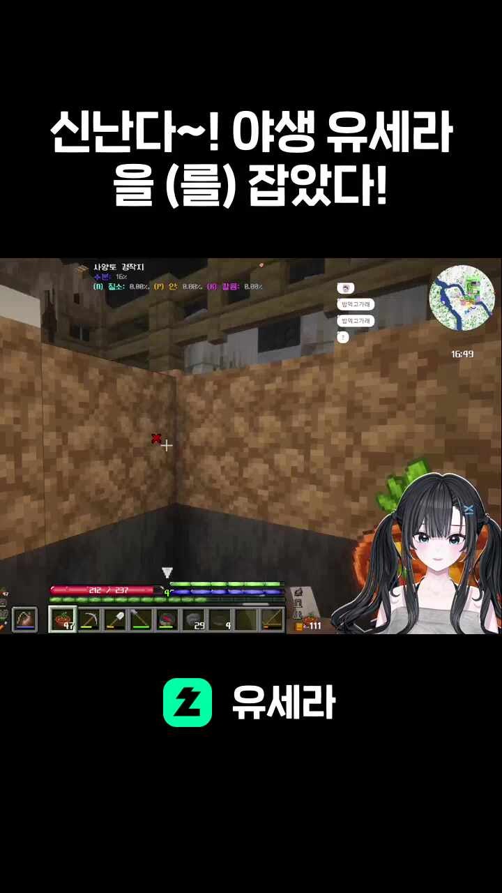 신난다~! 야생 유세라을 (를) 잡았다!
