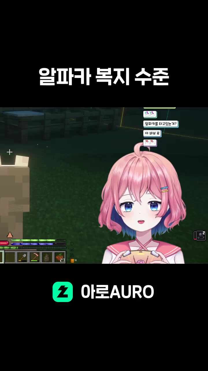 알파카 복지 수준