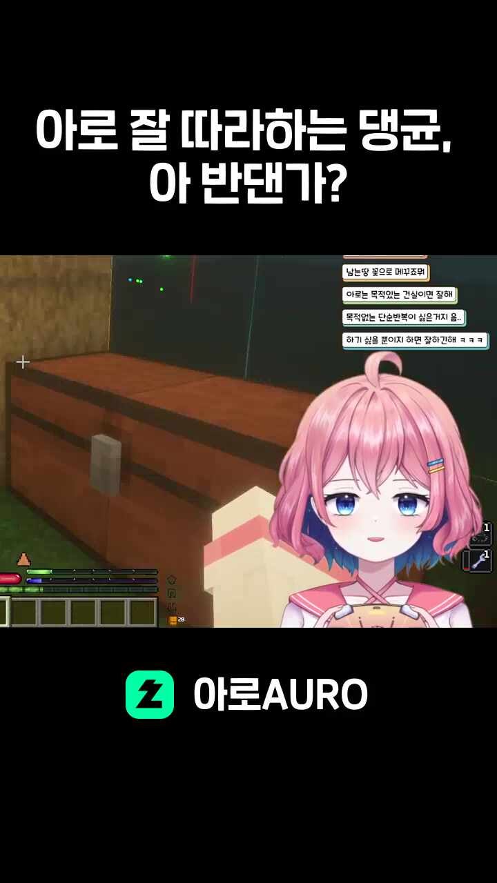 아로 잘 따라하는 댕균, 아 반댄가?
