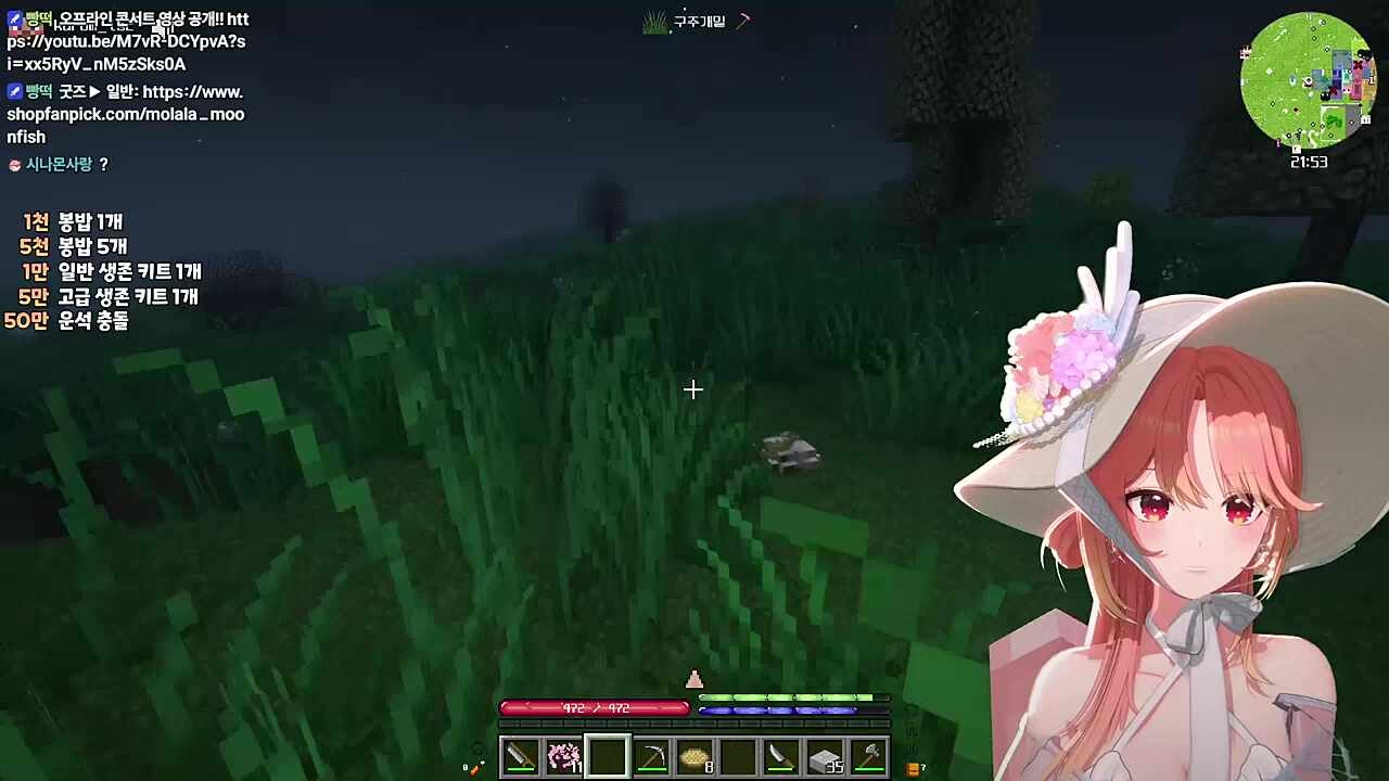 모라라 꽃이 피었습니다