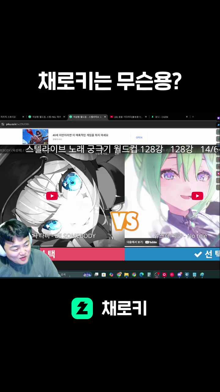 채로키는 무슨용?