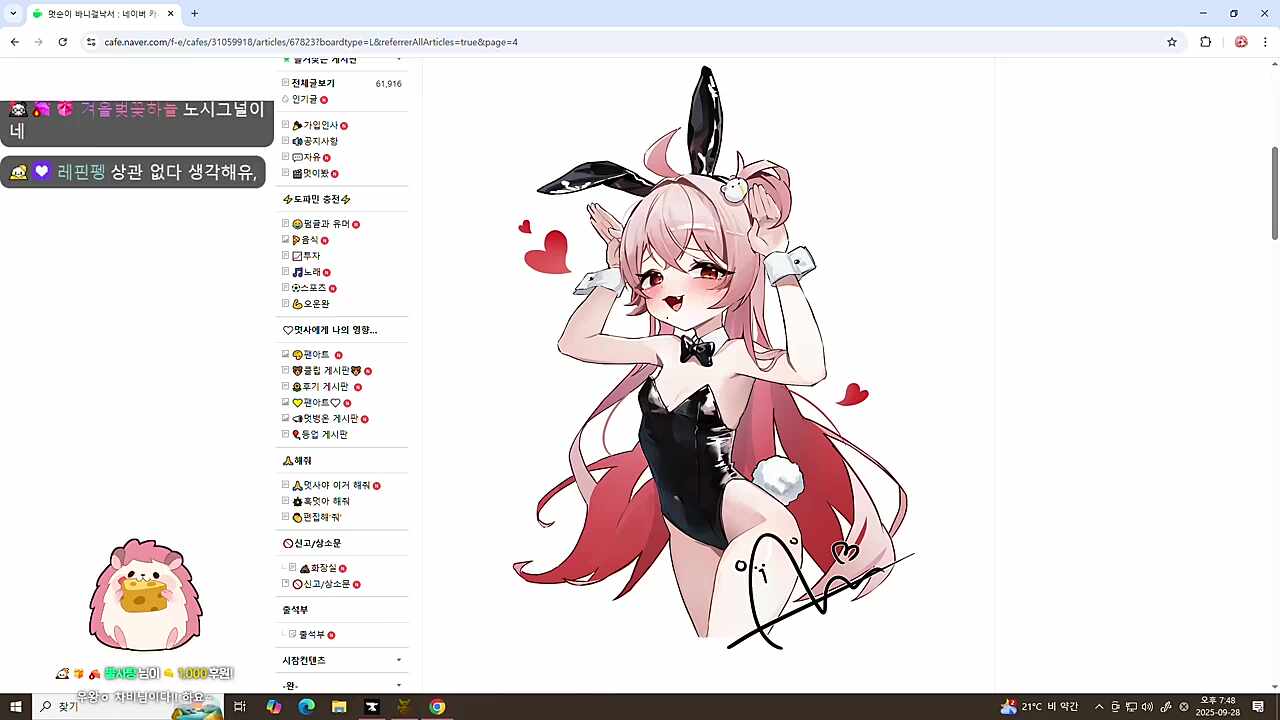 멋사가 더 암컷이네