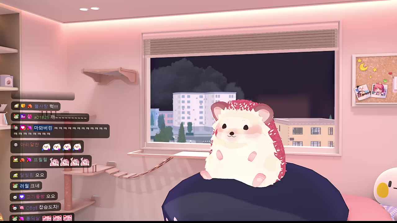 찹슴도치 입갤