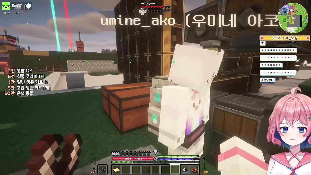 콩콩이 사람 다루는 방법ㅋㅋㅋㅋ