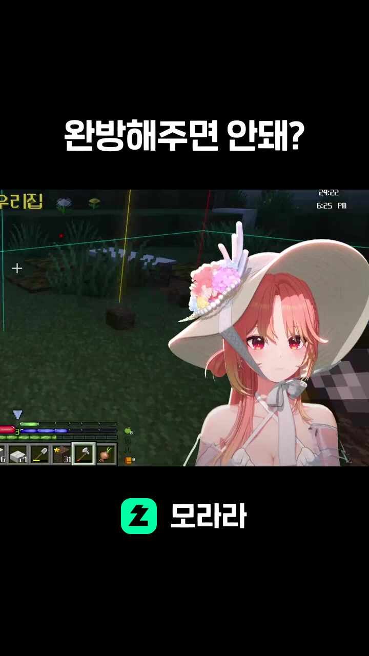 완방해주면 안돼?