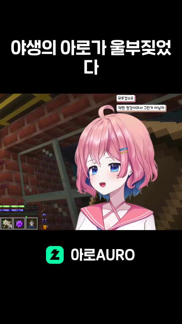 야생의 아로가 울부짖었다