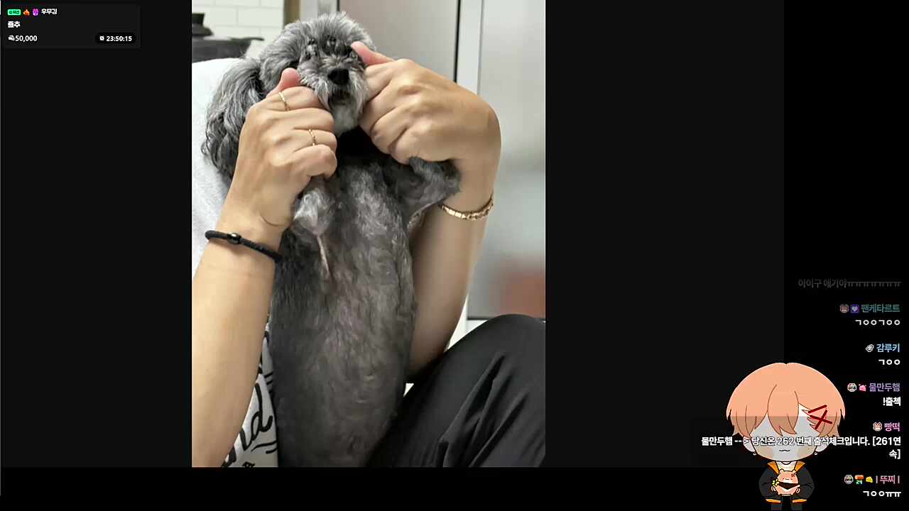 아고 콩이 넘 기엽자너ㅠㅠㅠㅠ