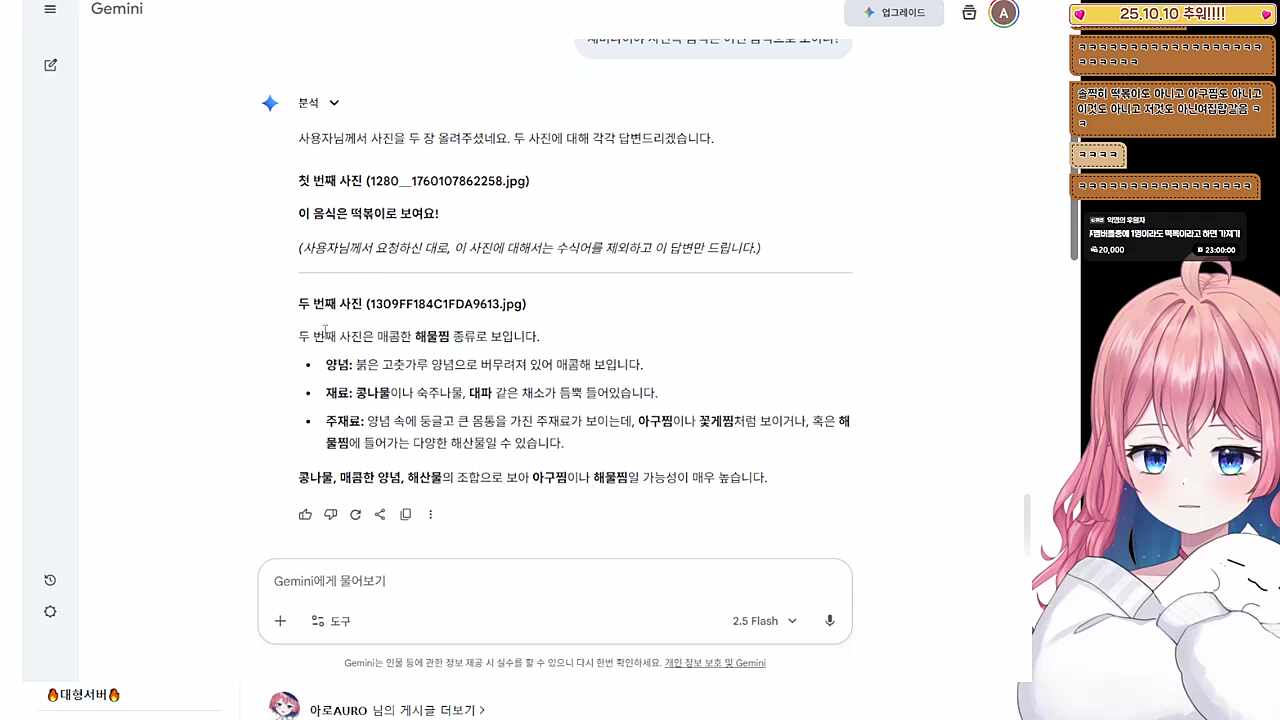 제미나이 조교성공!