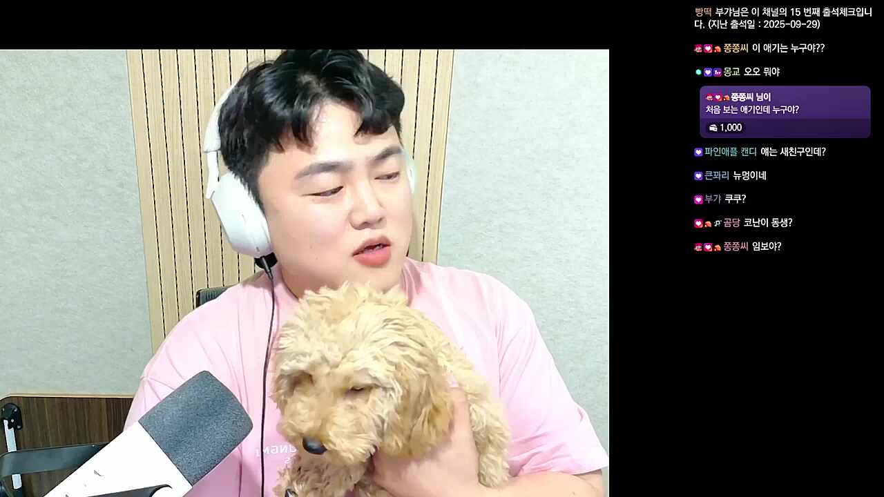 쿠쿠(밥솥 아님)