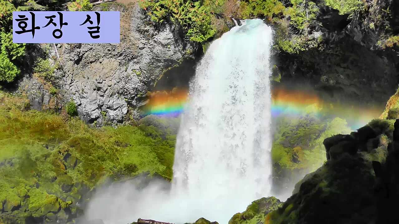 새로운 화장실 화면