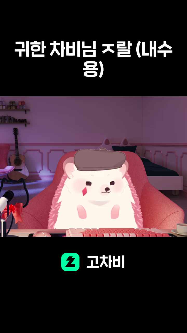 귀한 차비님 ㅈ랄 (내수용)