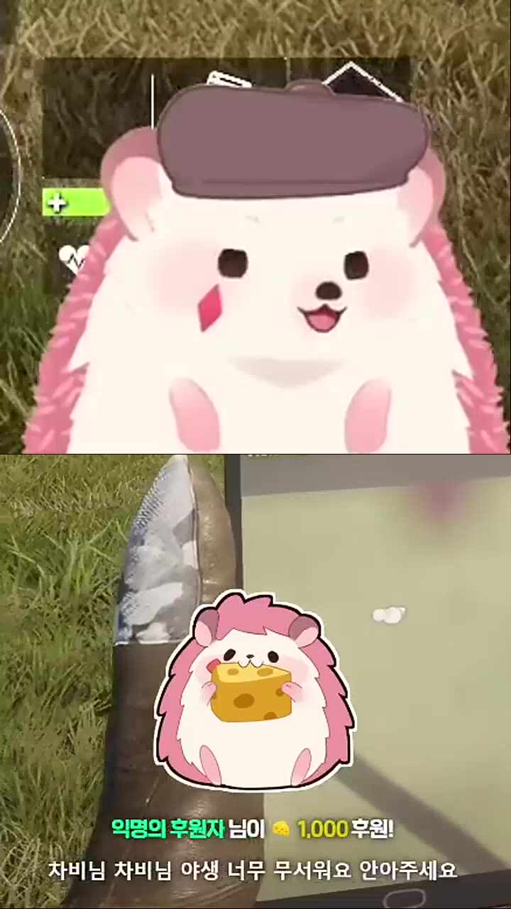 차비님 너무 야해요