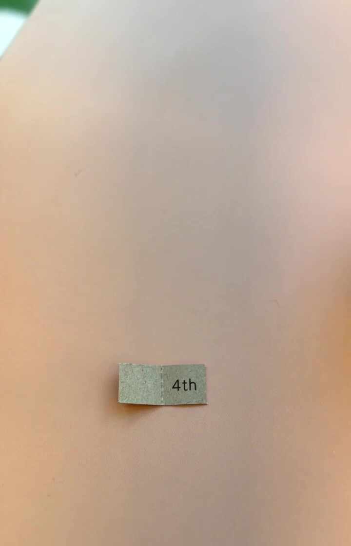 도도파이 5