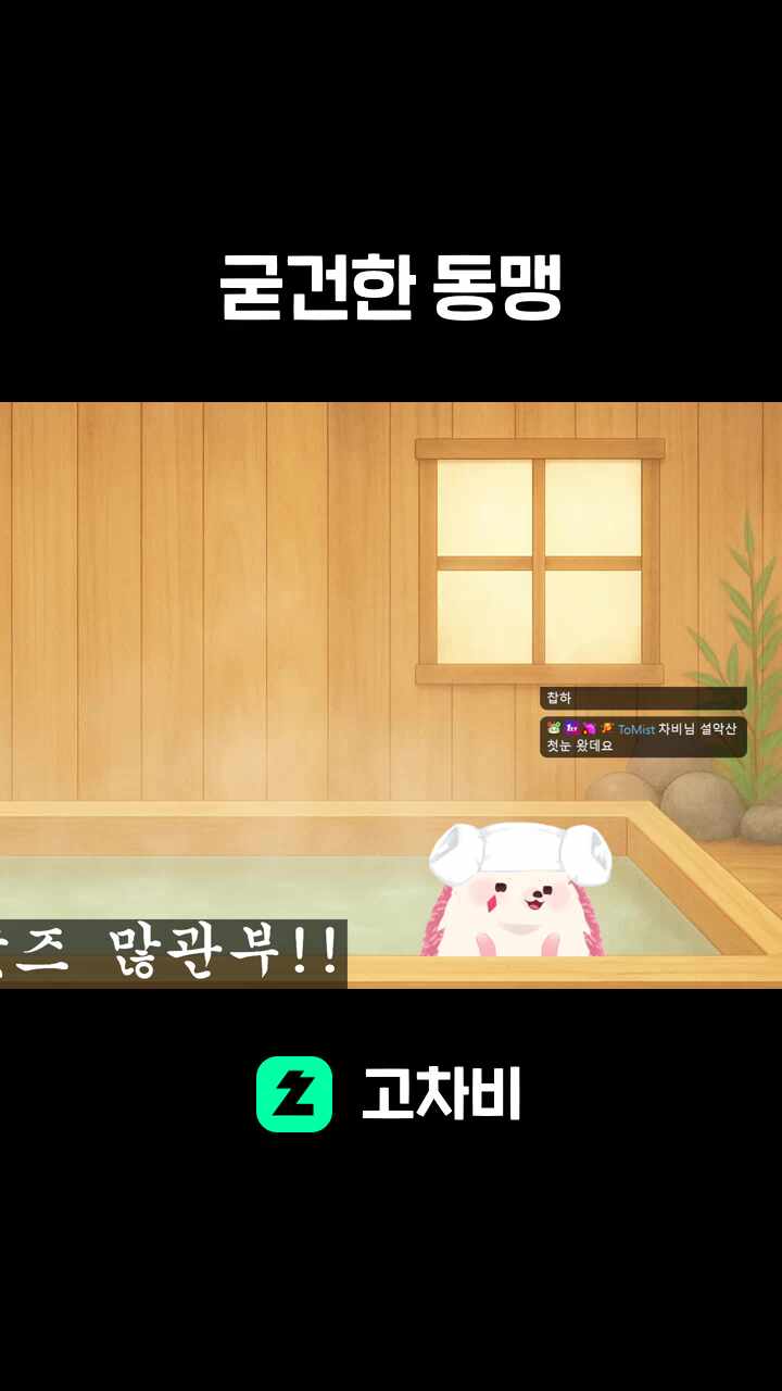 굳건한 동맹