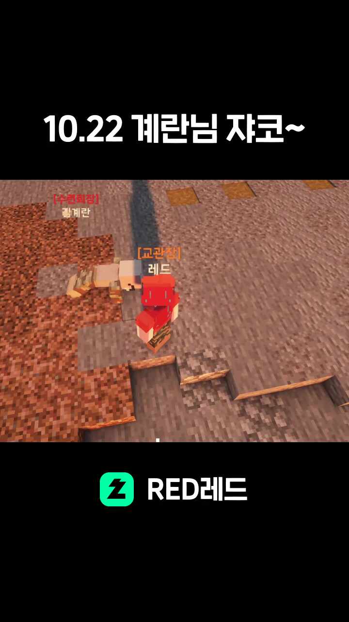 10.22 계란님 쟈코~