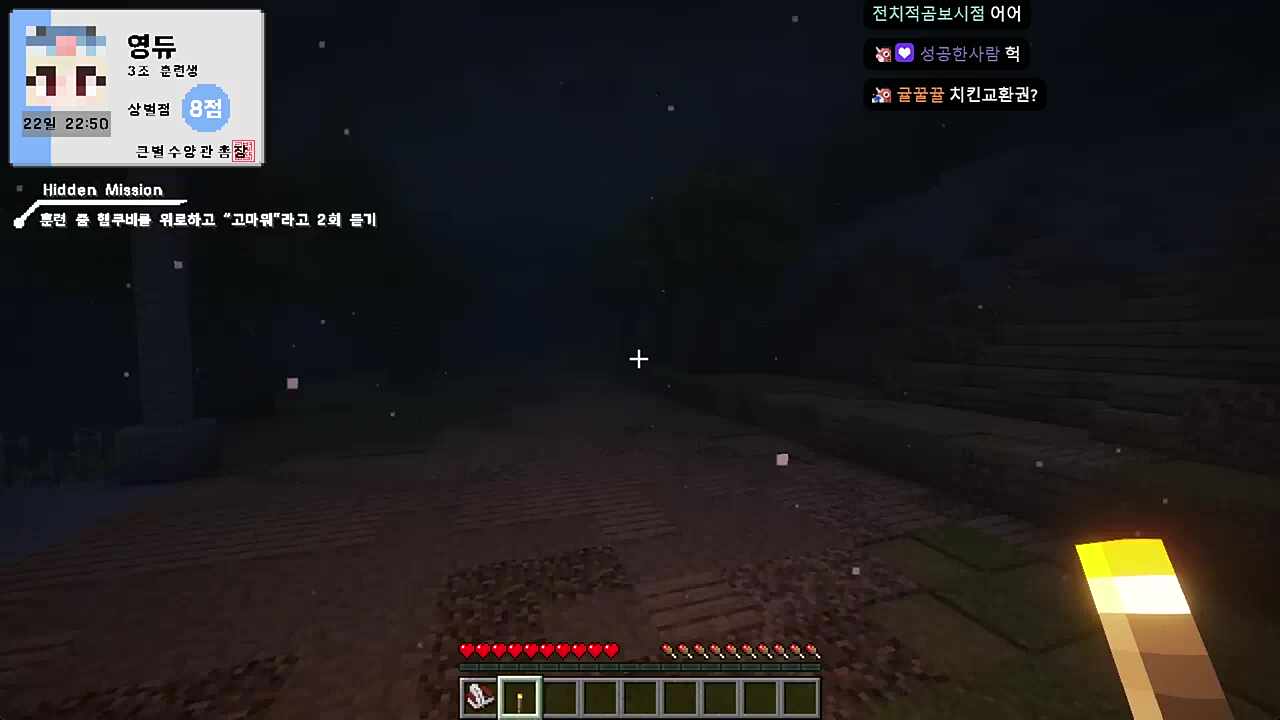 스트리머 서버에서도 당당하게 ㅇㅁㅅㅂ