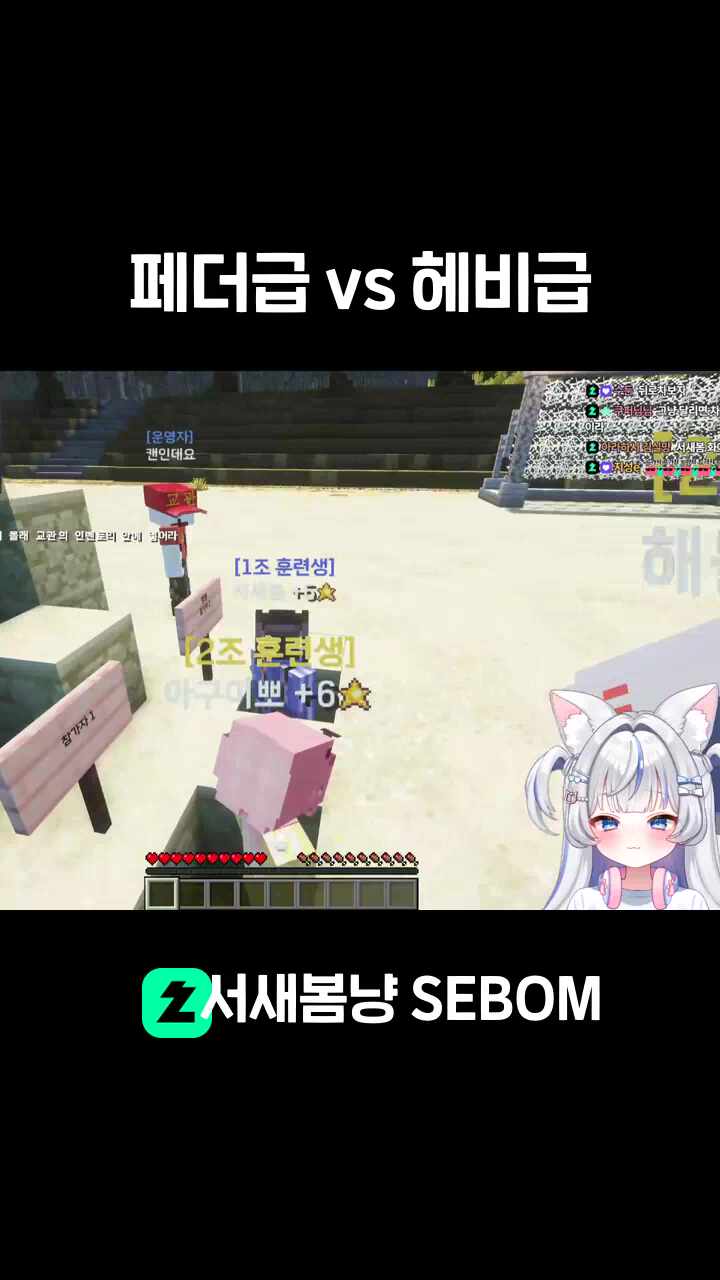 페더급 vs 헤비급