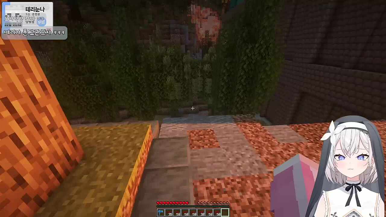 테리야 너 어디서 왔어? 나 좀 '높은 데'에서 왔어