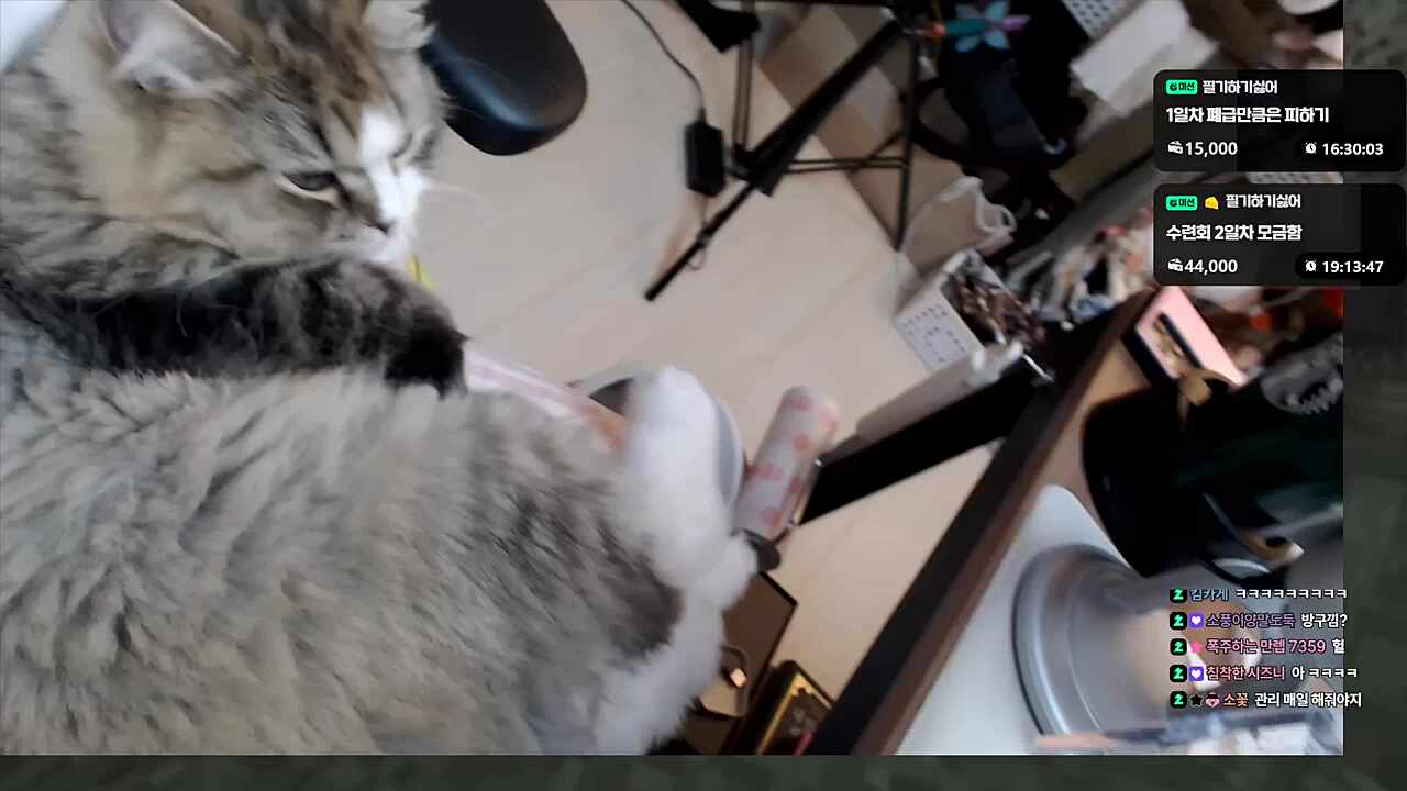 소풍이는 냄새난다