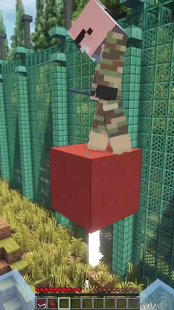 수련회장의 시범