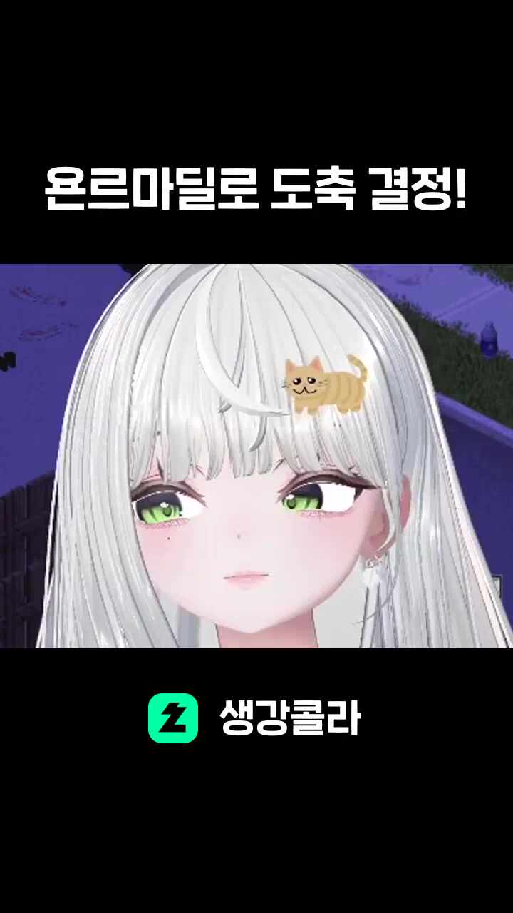 욘르마딜로 도축 결정!