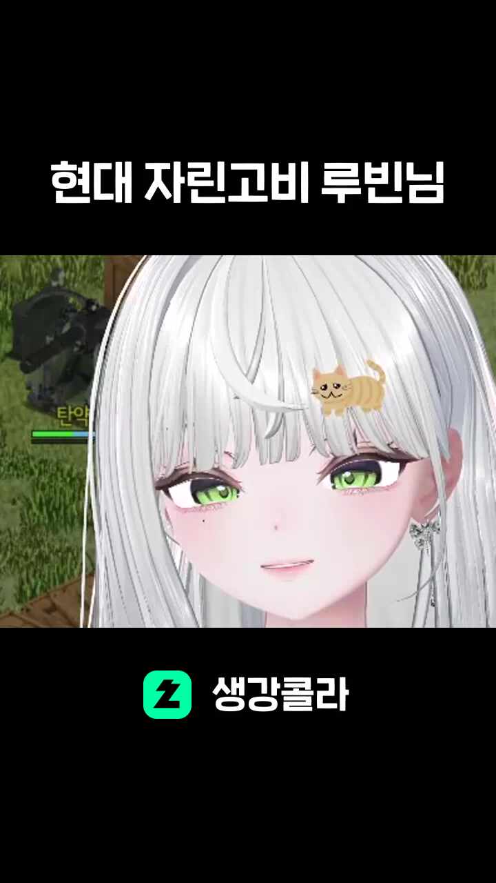 현대 자린고비 루빈님