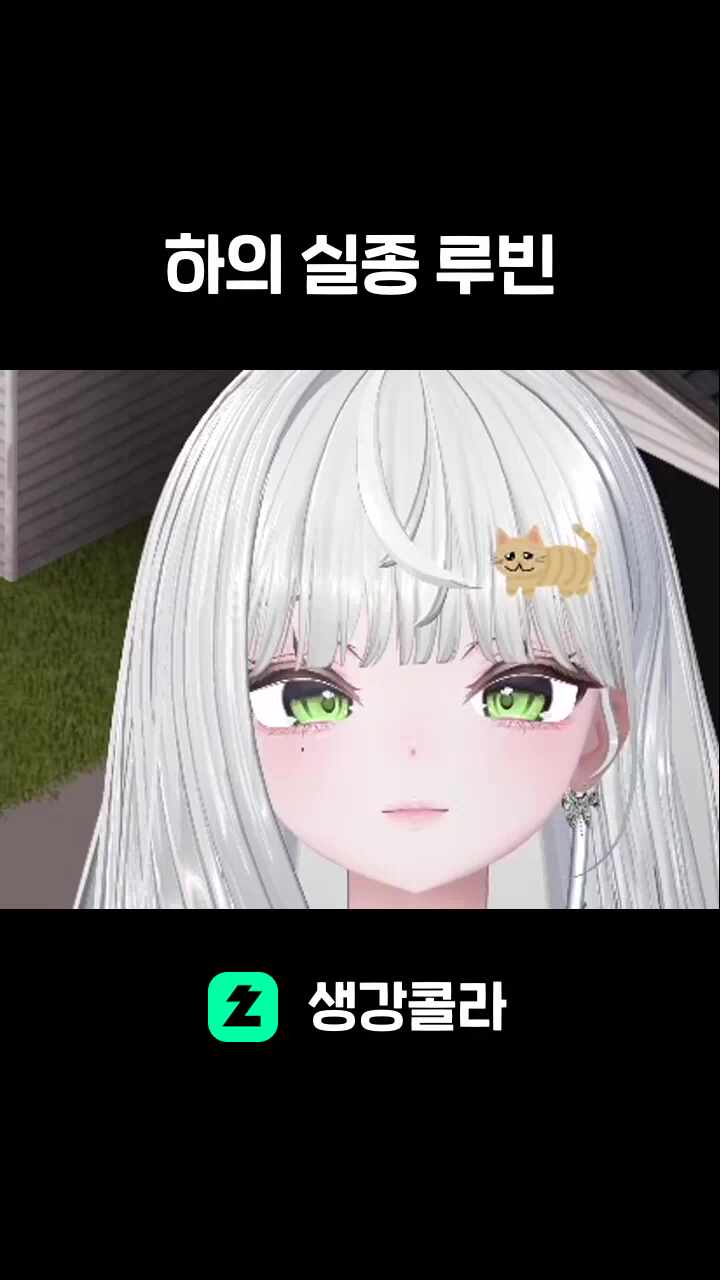 하의 실종 루빈