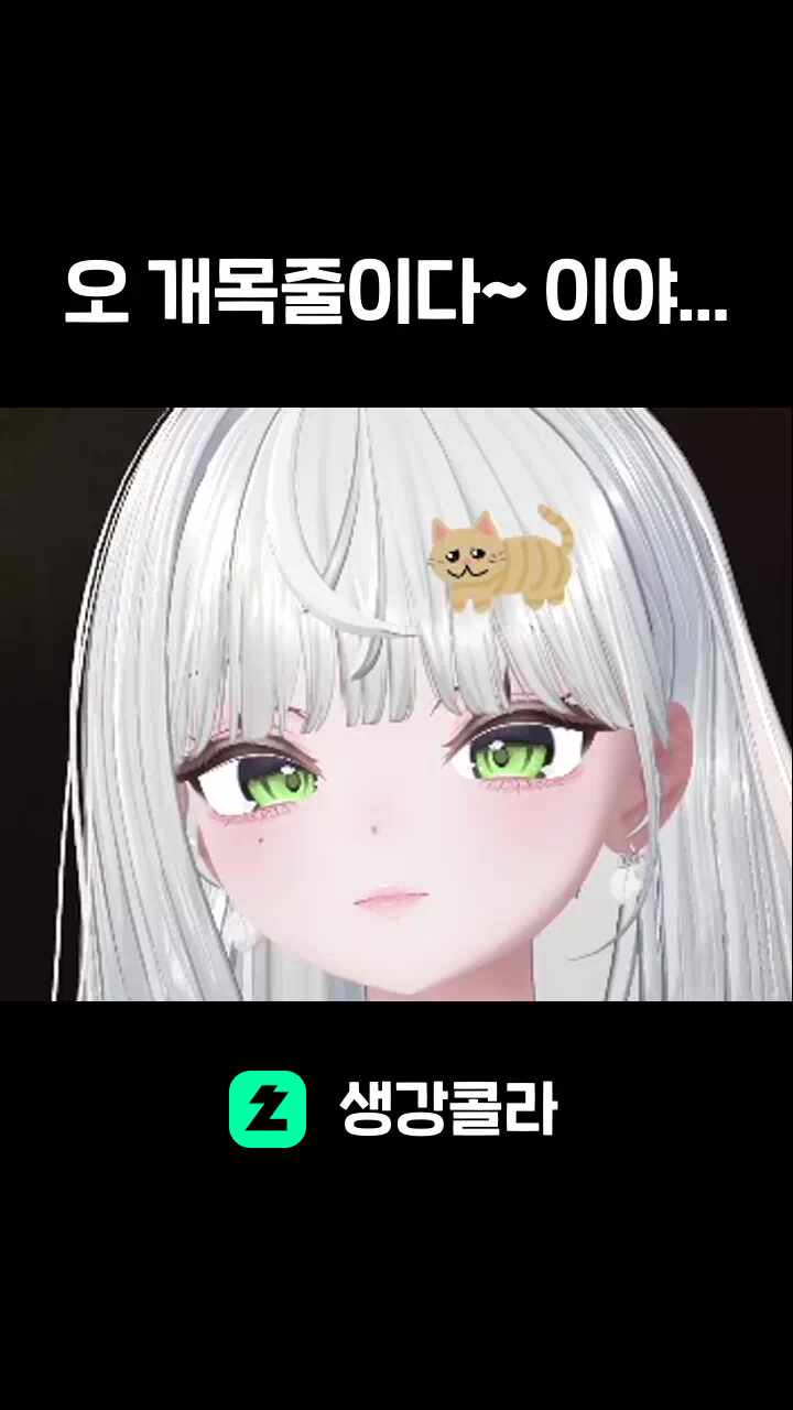 오 개목줄이다~ 이야...