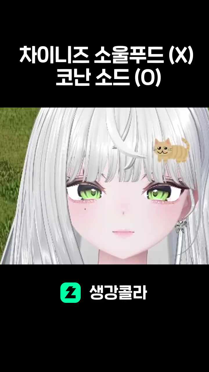 차이니즈 소울푸드 (X) 코난 소드 (O) 