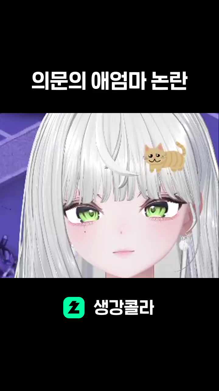 의문의 애엄마 논란