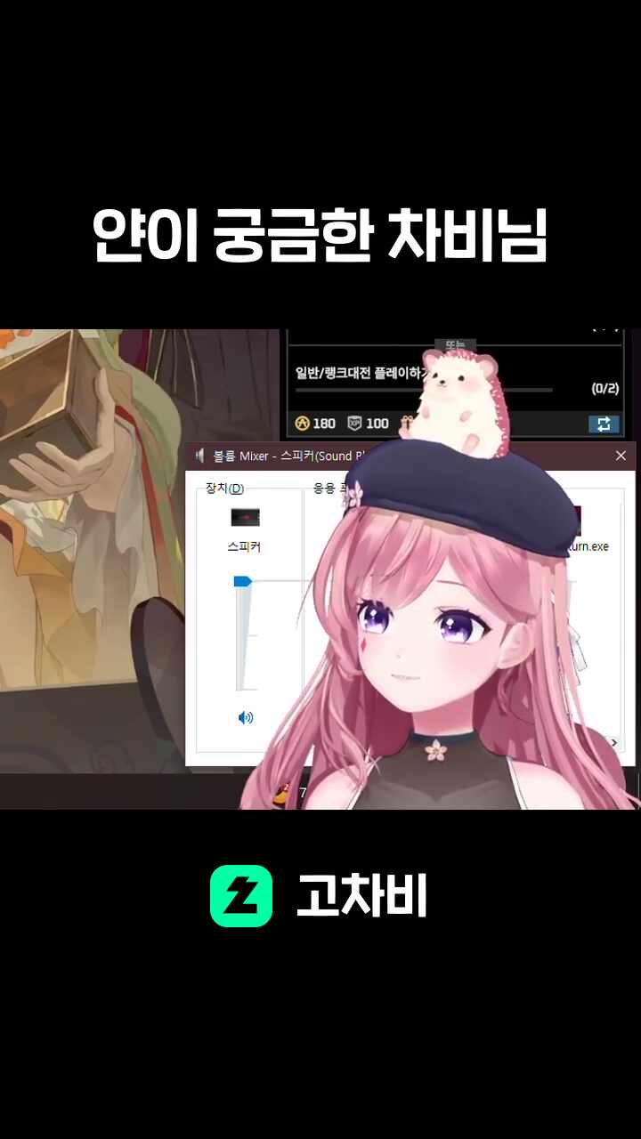 얀이 궁금한 차비님