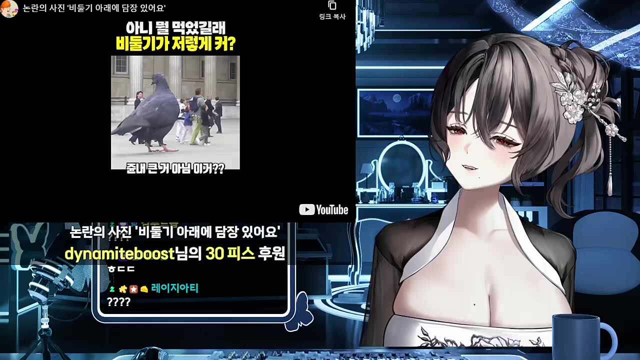 '비둘기 아래에 담장 있어요' 반응