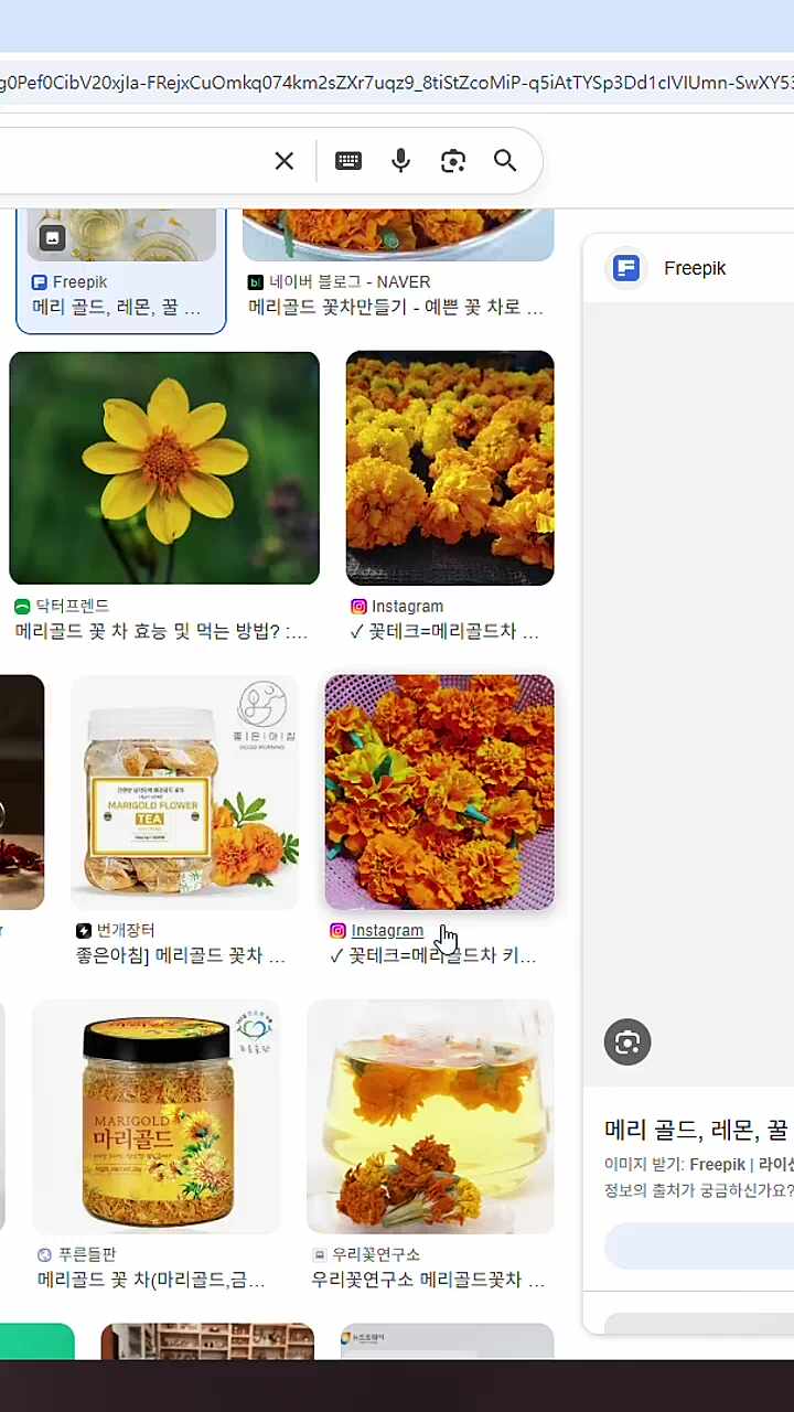치지직