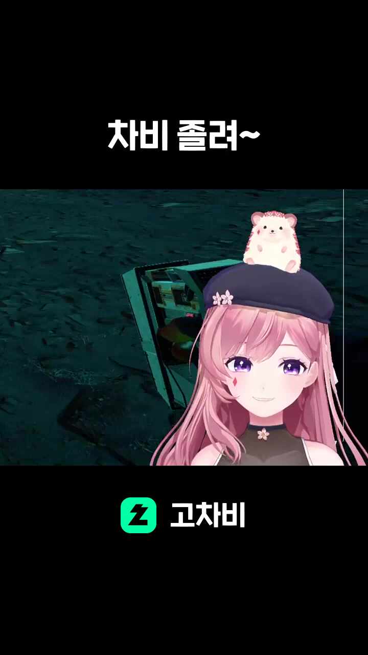 차비 졸려~