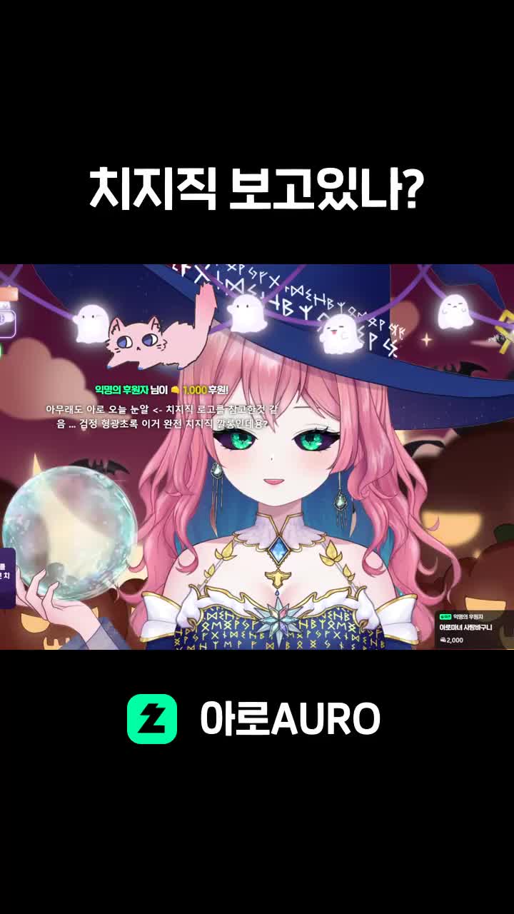 치지직 보고있나?