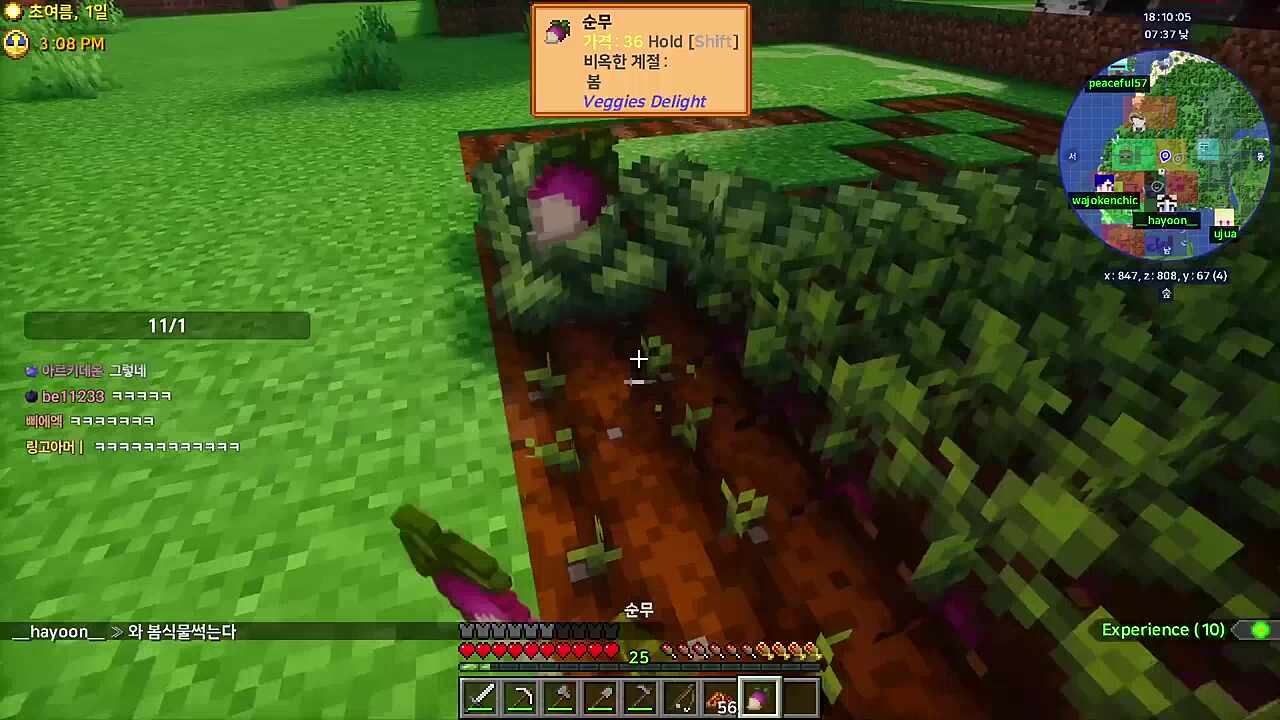 서버장이 사쵸작물 서리한다!