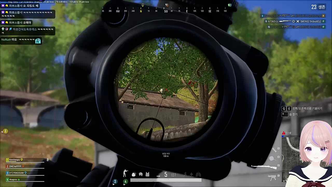 [배치기] 헤드샷 1킬