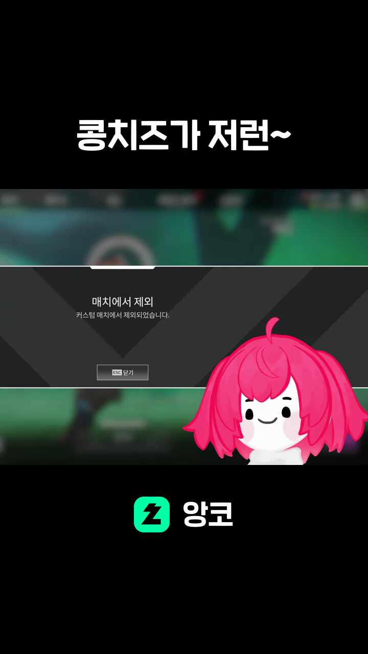 콩치즈가 저런~