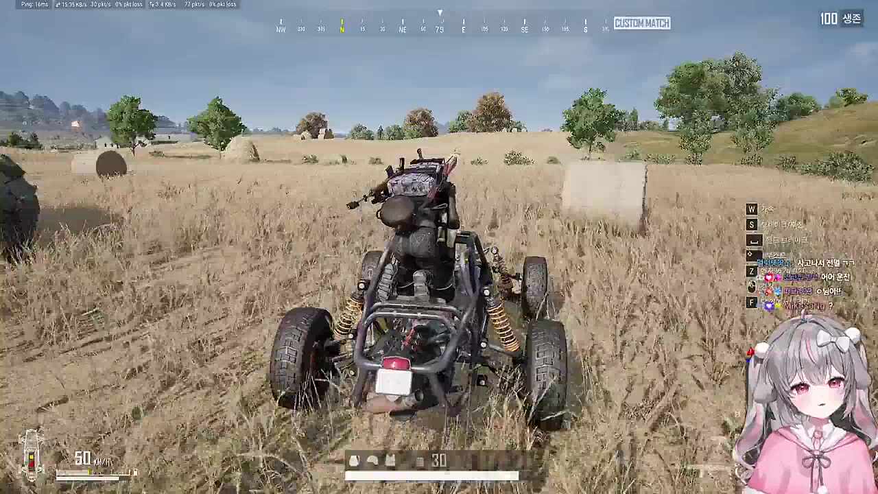 야생의 에란겔 변태